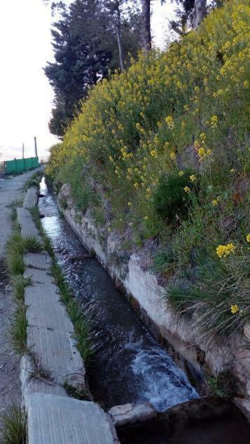 בית הארחה Serón 	La Casa De La Acequia מראה חיצוני תמונה