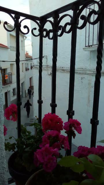 בית הארחה Serón 	La Casa De La Acequia מראה חיצוני תמונה