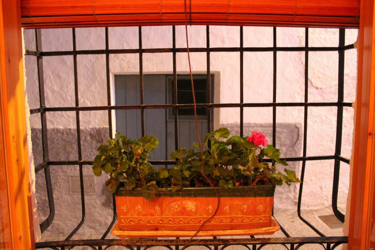 בית הארחה Serón 	La Casa De La Acequia מראה חיצוני תמונה