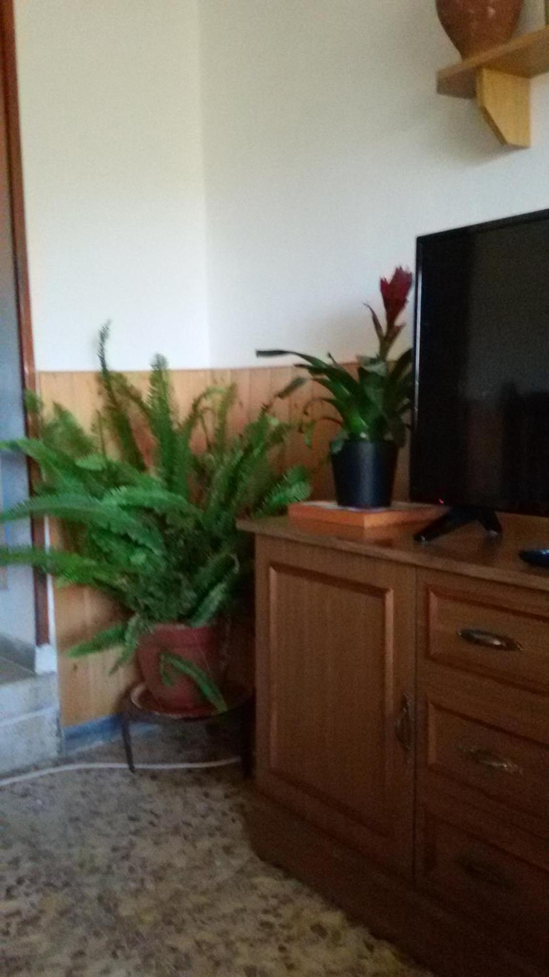 בית הארחה Serón 	La Casa De La Acequia מראה חיצוני תמונה